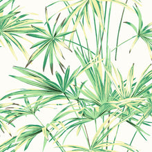 Load image into Gallery viewer, Yellow Green tropical palm spray wallpaper pattern
