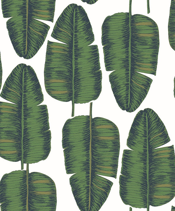 Tropical green and gold banana leaf patterned non woven wallpaper